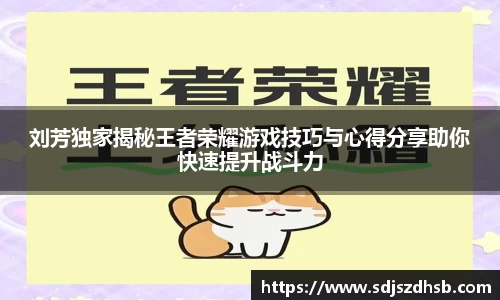 球速体育平台入口