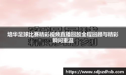 球速体育平台入口